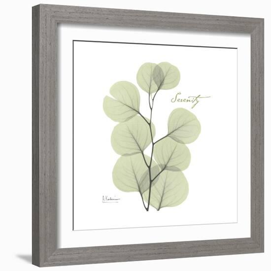 Eucalyptus Serenity-Albert Koetsier-Framed Premium Giclee Print