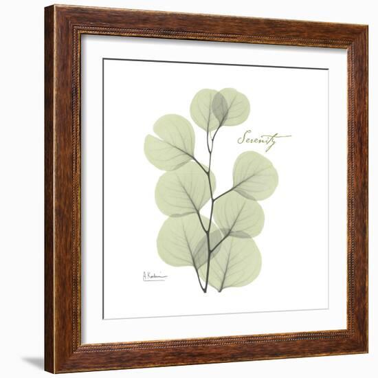 Eucalyptus Serenity-Albert Koetsier-Framed Premium Giclee Print