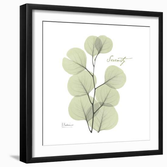 Eucalyptus Serenity-Albert Koetsier-Framed Premium Giclee Print