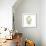 Eucalyptus Serenity-Albert Koetsier-Framed Premium Giclee Print displayed on a wall