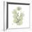 Eucalyptus Serenity-Albert Koetsier-Framed Premium Giclee Print