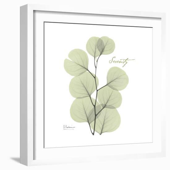 Eucalyptus Serenity-Albert Koetsier-Framed Premium Giclee Print