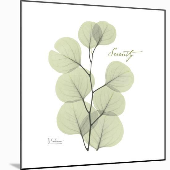 Eucalyptus Serenity-Albert Koetsier-Mounted Premium Giclee Print