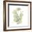 Eucalyptus Serenity-Albert Koetsier-Framed Premium Giclee Print