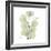 Eucalyptus Serenity-Albert Koetsier-Framed Premium Giclee Print