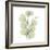 Eucalyptus Serenity-Albert Koetsier-Framed Premium Giclee Print