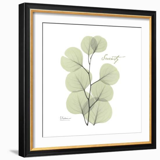 Eucalyptus Serenity-Albert Koetsier-Framed Premium Giclee Print