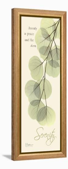 Eucalyptus Serenity-Albert Koetsier-Framed Stretched Canvas