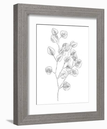 Eucalyptus Sketch III-Emma Scarvey-Framed Art Print