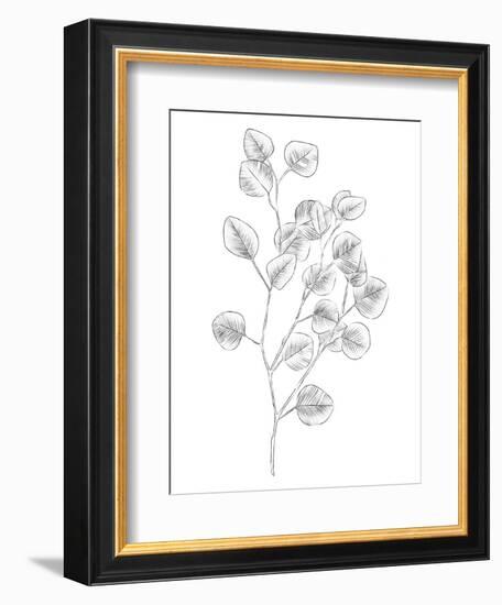 Eucalyptus Sketch III-Emma Scarvey-Framed Art Print