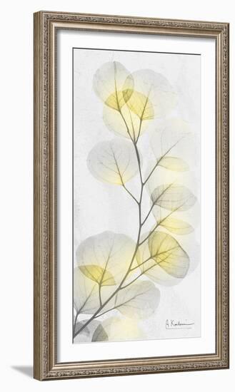 Eucalyptus Sunshine 1-Albert Koetsier-Framed Photographic Print