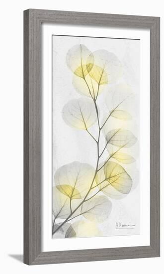 Eucalyptus Sunshine 1-Albert Koetsier-Framed Photographic Print