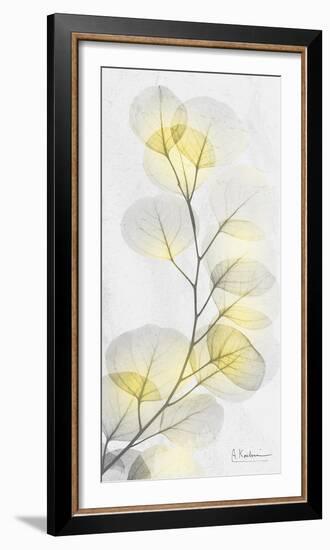 Eucalyptus Sunshine 1-Albert Koetsier-Framed Photographic Print