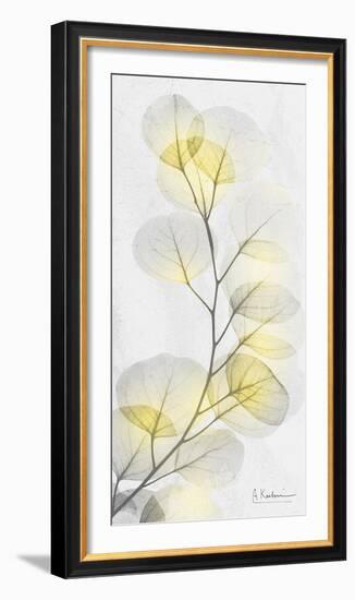 Eucalyptus Sunshine 1-Albert Koetsier-Framed Photographic Print