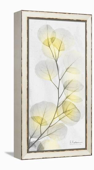 Eucalyptus Sunshine 1-Albert Koetsier-Framed Premier Image Canvas