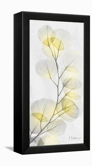 Eucalyptus Sunshine 1-Albert Koetsier-Framed Premier Image Canvas