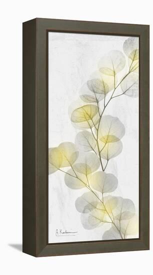 Eucalyptus Sunshine 2-Albert Koetsier-Framed Premier Image Canvas