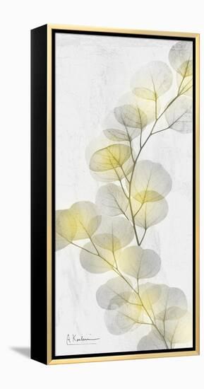 Eucalyptus Sunshine 2-Albert Koetsier-Framed Premier Image Canvas