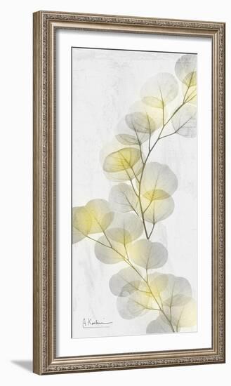 Eucalyptus Sunshine 2-Albert Koetsier-Framed Photographic Print