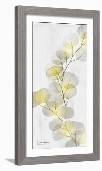 Eucalyptus Sunshine 2-Albert Koetsier-Framed Photographic Print