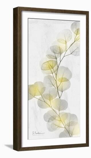 Eucalyptus Sunshine 2-Albert Koetsier-Framed Photographic Print