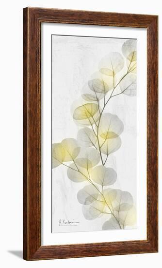 Eucalyptus Sunshine 2-Albert Koetsier-Framed Photographic Print