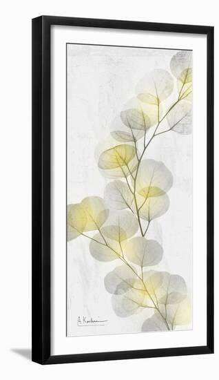 Eucalyptus Sunshine 2-Albert Koetsier-Framed Photographic Print