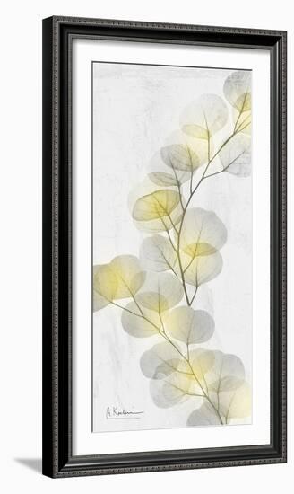 Eucalyptus Sunshine 2-Albert Koetsier-Framed Photographic Print