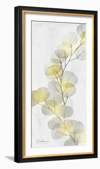 Eucalyptus Sunshine 2-Albert Koetsier-Framed Photographic Print