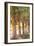 Eucalyptus Trees-Karyn Millet-Framed Photo