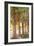 Eucalyptus Trees-Karyn Millet-Framed Photo