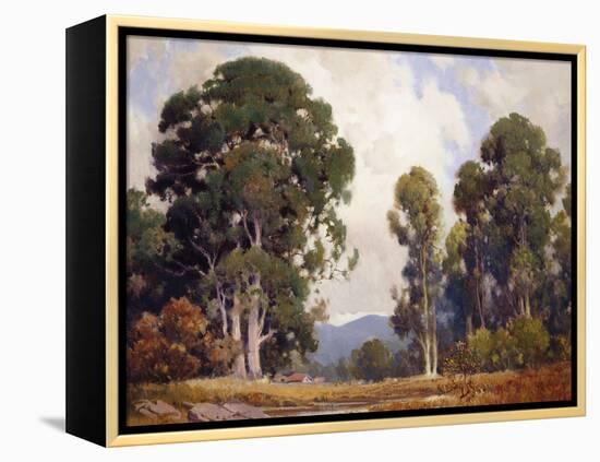 Eucalyptus-Percy Gray-Framed Stretched Canvas