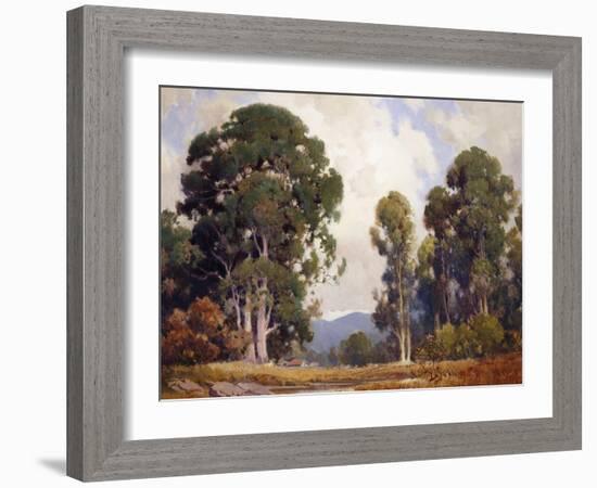 Eucalyptus-Percy Gray-Framed Art Print