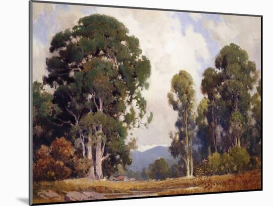Eucalyptus-Percy Gray-Mounted Art Print