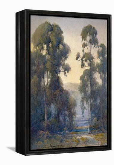 Eucalyptus-Percy Gray-Framed Stretched Canvas