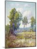 Eucalyptus-Maurice Braun-Mounted Art Print