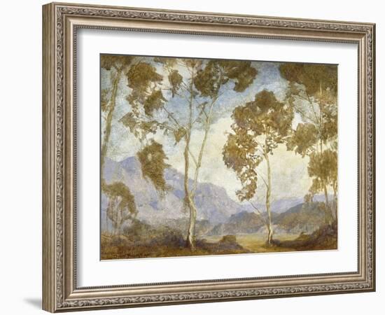 Eucalyptus-DeWitt Parshall-Framed Art Print