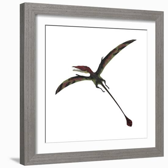 Eudimorphodon, a Pterosuar from the Late Triassic Period-null-Framed Premium Giclee Print