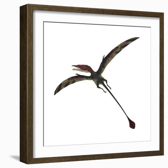 Eudimorphodon, a Pterosuar from the Late Triassic Period-null-Framed Premium Giclee Print