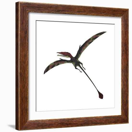Eudimorphodon, a Pterosuar from the Late Triassic Period-null-Framed Premium Giclee Print