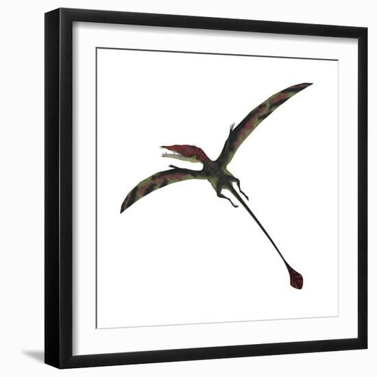 Eudimorphodon, a Pterosuar from the Late Triassic Period-null-Framed Premium Giclee Print