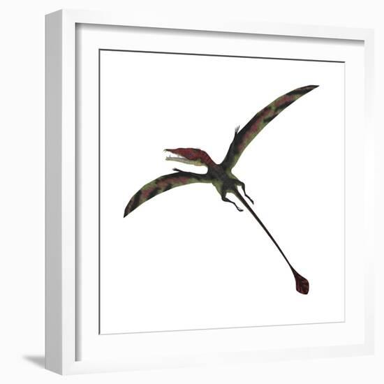 Eudimorphodon, a Pterosuar from the Late Triassic Period-null-Framed Premium Giclee Print