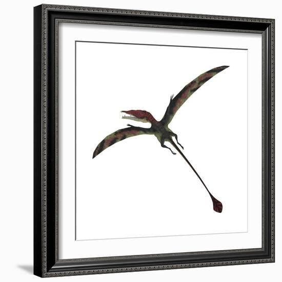 Eudimorphodon, a Pterosuar from the Late Triassic Period-null-Framed Premium Giclee Print