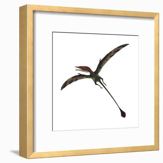 Eudimorphodon, a Pterosuar from the Late Triassic Period-null-Framed Art Print