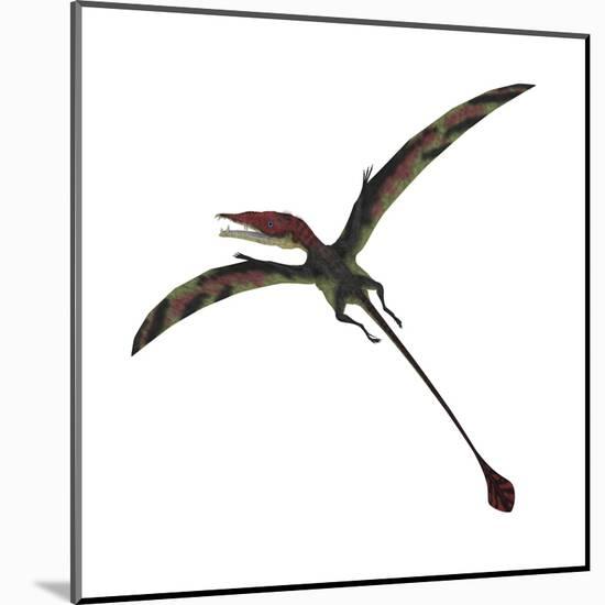 Eudimorphodon, a Pterosuar from the Late Triassic Period-null-Mounted Art Print