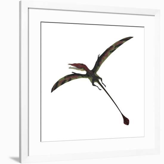 Eudimorphodon, a Pterosuar from the Late Triassic Period-null-Framed Art Print