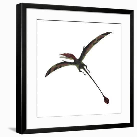 Eudimorphodon, a Pterosuar from the Late Triassic Period-null-Framed Art Print