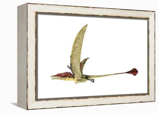 Eudimorphodon, Artwork-null-Framed Premier Image Canvas