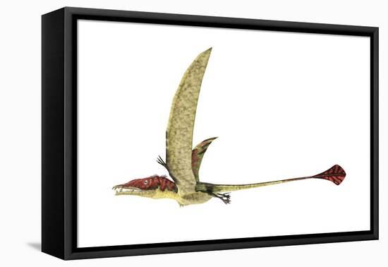 Eudimorphodon, Artwork-null-Framed Premier Image Canvas