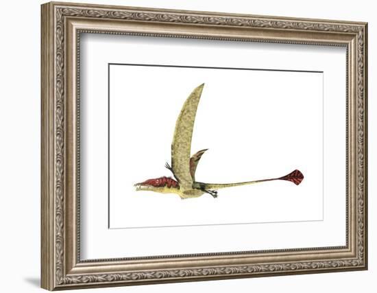 Eudimorphodon, Artwork-null-Framed Photographic Print